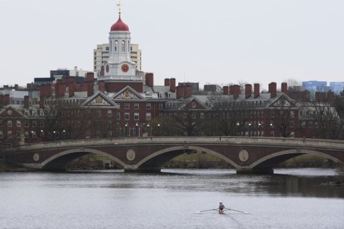 FILE - A sculler rows down the Charles River near Harvard University, at rear, Tuesday, April 15, 2025, in Cambridge, Mass. (AP Photo/Charles Krupa, File)