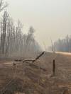 SUPPLIED
                                Manitoba Hydro photo of fire damage on Wendigo Road in the RM of Lac du Bonnet.