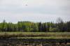 MIKAELA MACKENZIE / FREE PRESS FILES
                                A water bomber flies over a property in Lac du Bonnet on May 19.