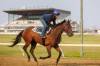 MIKE DEAL / FREE PRESS
                                Jockey Ciera Pruitt grew up around horses as her father was a jockey and her mother is one of the top trainers at Assinibboia Downs.
