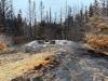 Russell Wangersky/Free Press
                                Only the foundation remains of the root cellar.