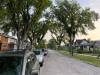 Russell Wangersky/Free Press
                                The city&rsquo;s Report on City Tree Bylaws is still in limbo &mdash; like many other council reports.