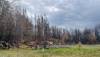 SUPPLIED
                                The charred remains of a a sign that once welcomed visitors to Nopiming Provincial Park. The sign was destroyed by a wildfire that was first detected May 12 and rapidly spread. The blaze was caused by lightning, the province said.