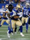 John Woods / THE CANADIAN PRESS
                                Winnipeg Blue Bombers running back Matthew Peterson (22) didn&rsquo;t miss a beat in the season opener against the B.C. Lions, replacing an injured Brady Oliveira.
