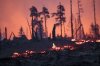 The forest floor is on fire in a wooded area on the Saalfelder Höhe, in Reichmannsdorf, Germany, Wednesday, July 2, 2025. (Daniel Vogl/dpa via AP)