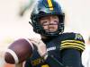 Peter Power / THE CANADIAN PRESS FILES
                                A massive part of the Hamilton Tiger-Cats&rsquo; resurgence in the East Division is owing to quarterback Bo Levi Mitchell, who&rsquo;s playing at an MOP-calibre level.