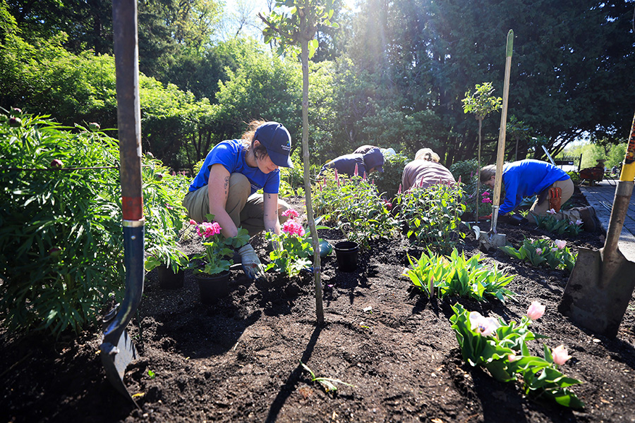 Gardening crews with Assiniboine Park Conservancy are busy planting in the English Garden and around the Boy with the Boot statue Friday. The gardening crews started work last week but with the warmer temperatures are now in full swing.