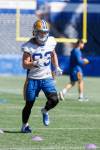 MIKE DEAL / FREE PRESS
                                Winnipeg Blue Bombers&rsquo; Dalton Schoen has missed the last-six games with the club. It&rsquo;s the receiver&rsquo;s second straight season hampered by injury.