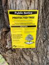 Russell Wangersky/Free Press
                                A civic tree protection notice in Saskatoon.