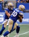 John Woods / THE CANADIAN PRESS FILES
                                Winnipeg Blue Bombers quarterback Chris Streveler (left) has 10 interceptions so far this season, but teammate Brady Oliveira (right) and head coach Mike O&rsquo;Shea say you can&rsquo;t pin turnovers solely on QBs.