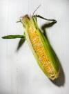 (Bill Hogan/Chicago Tribune/MCT)
                                Indulge your appetite for sweet corn by shopping farmers markets, roadside stands and local grocers for freshly picked ears, then crunching your way around cob after cob after cob.