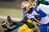Amber Bracken / THE CANADIAN PRESS
                                The Winnipeg Blue Bombers will be facing a second-string Saskatchewan Roughriders lineup in Friday&rsquo;s action. Receiver Ontaria Wilson (80) will look to have another circus-catch filled game like he did last Saturday against the Edmonton Elks.