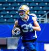 NIC ADAM / FREE PRESS FILES
                                Evan Holm was named the Blue Bombers defensive player of the year on Wednesday.