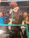 Gainer the Gopher, mascot for the CFL's Saskatchewan Roughriders, is shown in this undated handout photo. THE CANADIAN PRESS/Handout - Don Hewitt (Mandatory Credit)