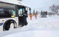 A city of Winnipeg tow truck driver checks on two transit drivers who had been stuck for seven hours in snow drifts in Transcona. When the tow truck arrived it determined it couldn