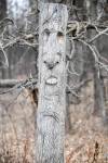 MIKAELA MACKENZIE / FREE PRESS FILES
                                Carvings in the trees along the Bois des Esprits trail.