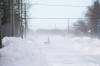 MIKAELA MACKENZIE / FREE PRESS
                                Environment Canada is warning of poor visibility and blowing snow Friday, with another five to eight centimetres predicted for Winnipeg and parts of the province.