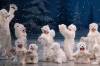 Daniel Crump / Free Press Files
                                Polar bear cubs always delight at RWB&rsquo;s Nutcracker.