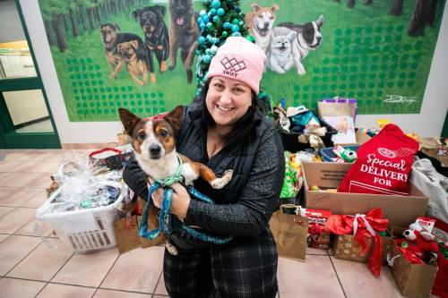 Courtney Voth from Dumbledogs and her dog, Swamp Thing, with the donations to they gave to Animal Services in Winnipeg on Wednesday. (Mikaela MacKenzie / Free Press)