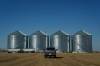 Chris Young / THE CANADIAN PRESS files
                                China is Canada&rsquo;s second-largest market for grains and oilseeds, worth about $4 billion annually for canola alone.