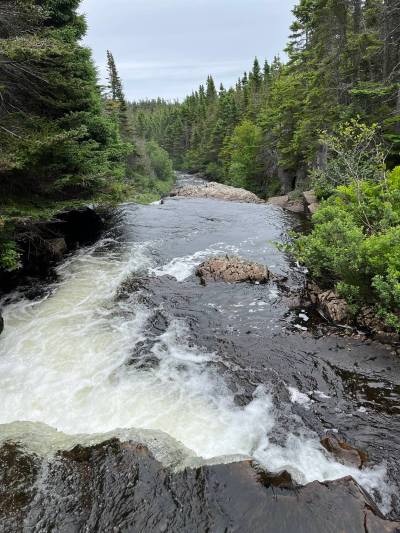 Russell Wangersky/Free Press
                                The world is running short of water.