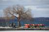 Visitors walk along the pier at the Clear Lake Marina in Wasagaming at Riding Mountain National Park. (Tim Smith / The Brandon Sun files)