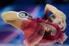 Niina Petrokina of Estonia competes during the women's short program figure skating at the 2026 Winter Olympics, in Milan, Italy, Tuesday, Feb. 17, 2026. (AP Photo/Natacha Pisarenko)