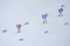Johannes Lamparter, of Austria, from left, Eero Hirvonen, of Finland, and Ryota Yamamoto, of Japan, compete in the nordic combined team sprint at the 2026 Winter Olympics, in Tesero, Italy, Thursday, Feb. 19, 2026. (AP Photo/Evgeniy Maloletka)